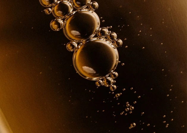 Bem-Estar e Ambiente Inovador.