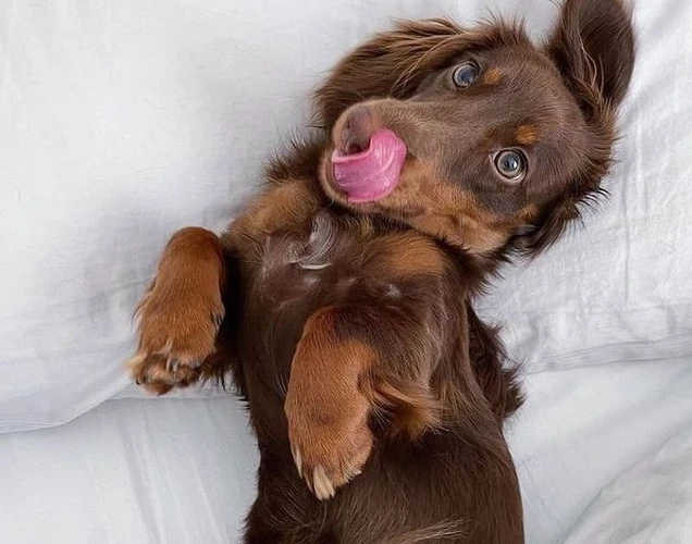 Precisão e Cuidado em Cada Fórmula