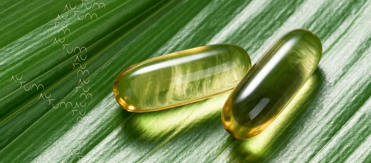 Faça a escolha certa Você e Pet.