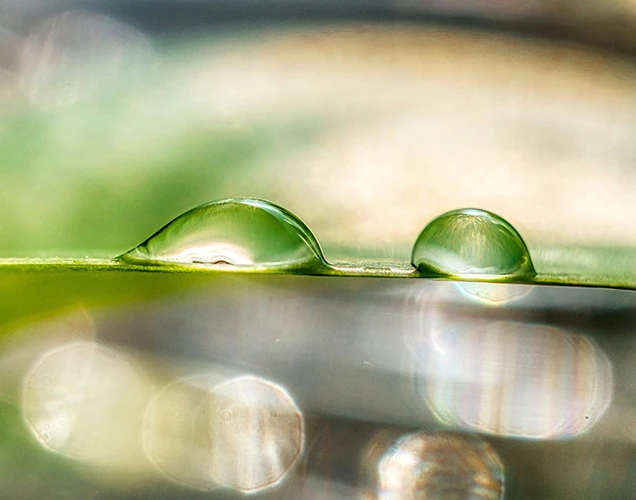 Seu Equilíbrio, Nosso Compromisso