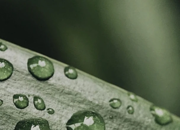 Conheça Nossas Instalações